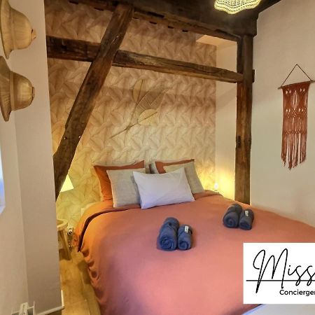 Apartament "La Fenetre Sur Le Marche" De Miss.K Conciergerie Châtillon-sur-Chalaronne Zewnętrze zdjęcie