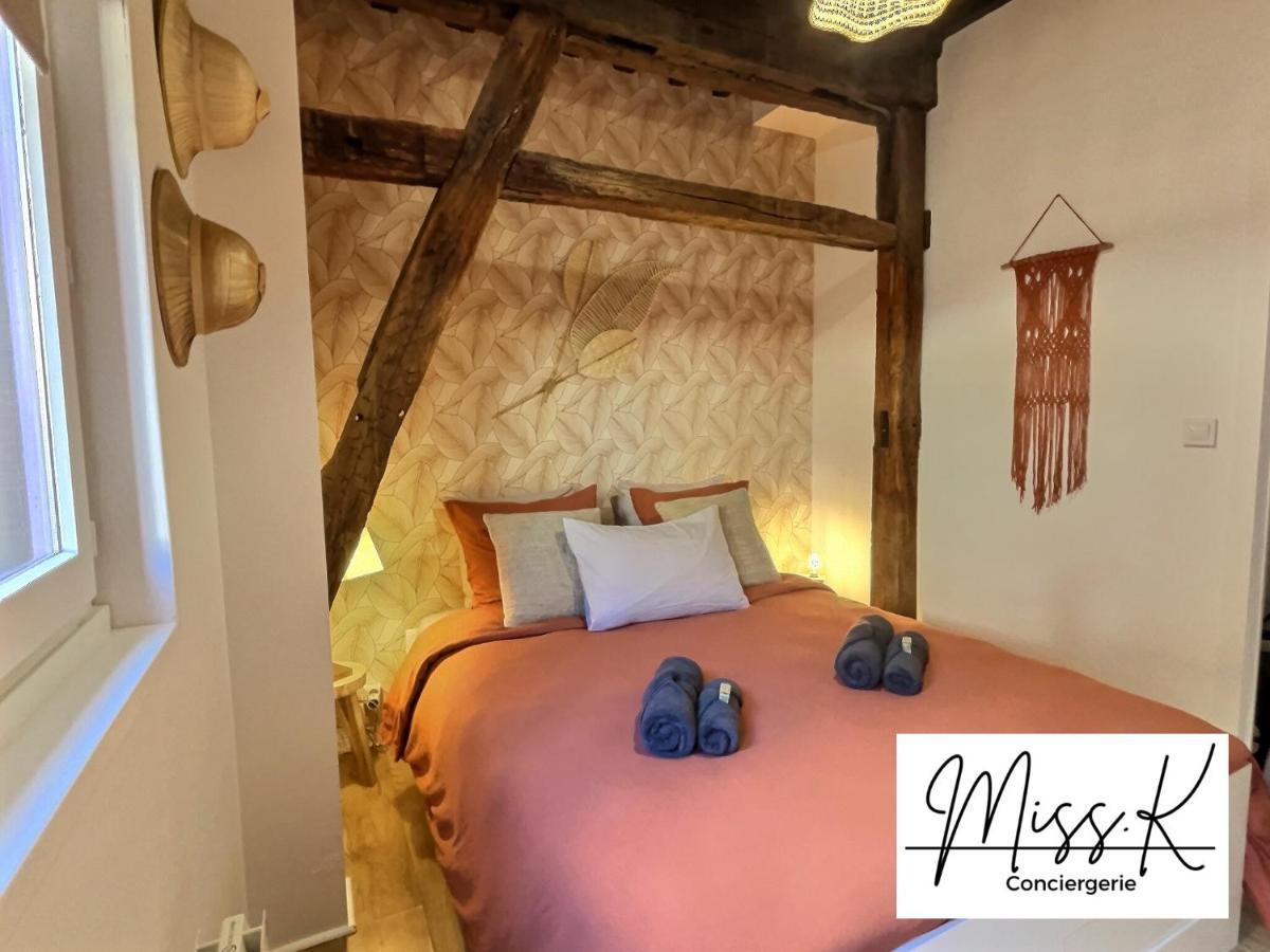 Apartament "La Fenetre Sur Le Marche" De Miss.K Conciergerie Châtillon-sur-Chalaronne Zewnętrze zdjęcie