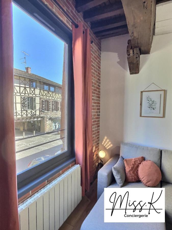 Apartament "La Fenetre Sur Le Marche" De Miss.K Conciergerie Châtillon-sur-Chalaronne Zewnętrze zdjęcie