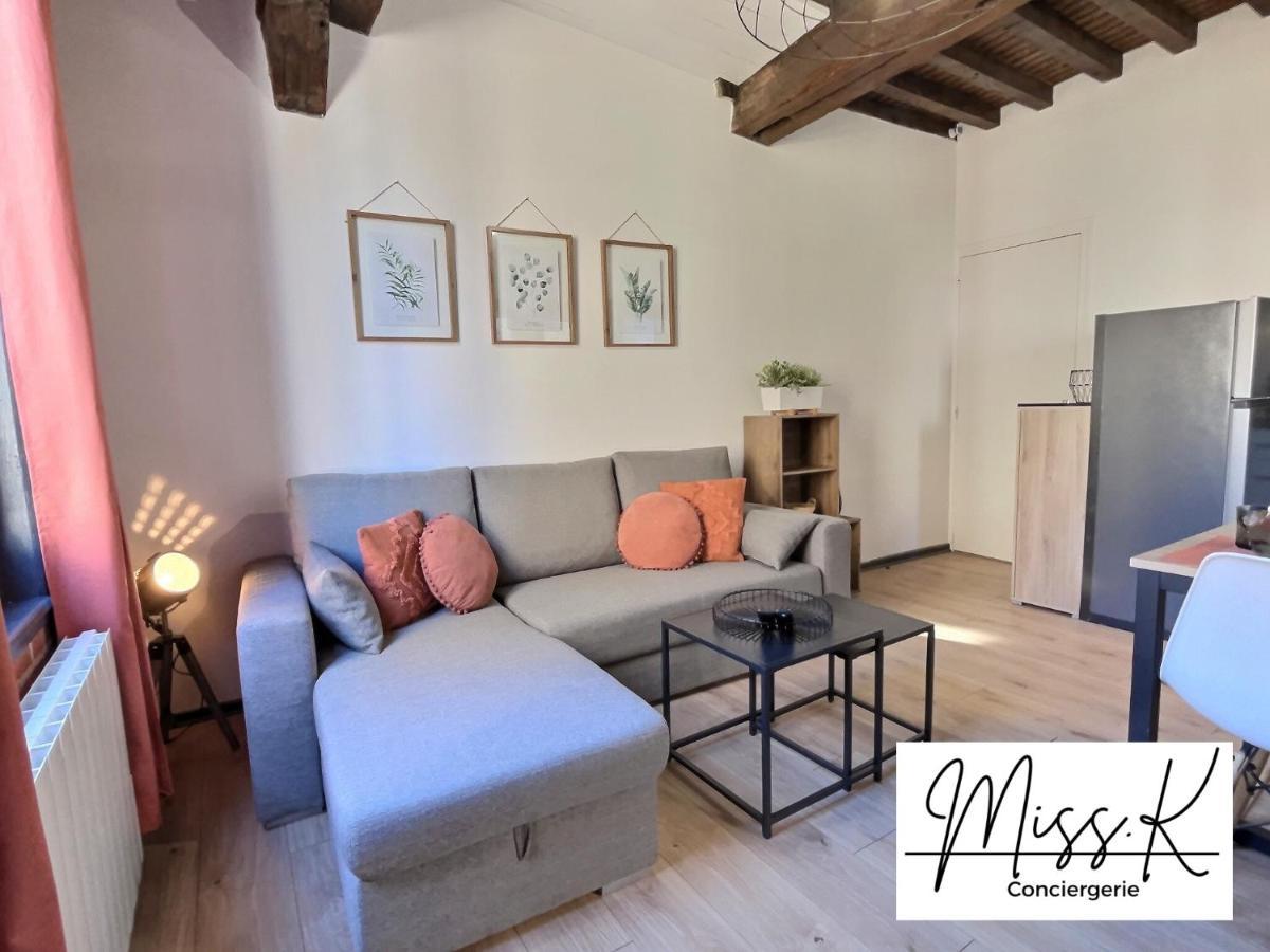 Apartament "La Fenetre Sur Le Marche" De Miss.K Conciergerie Châtillon-sur-Chalaronne Zewnętrze zdjęcie