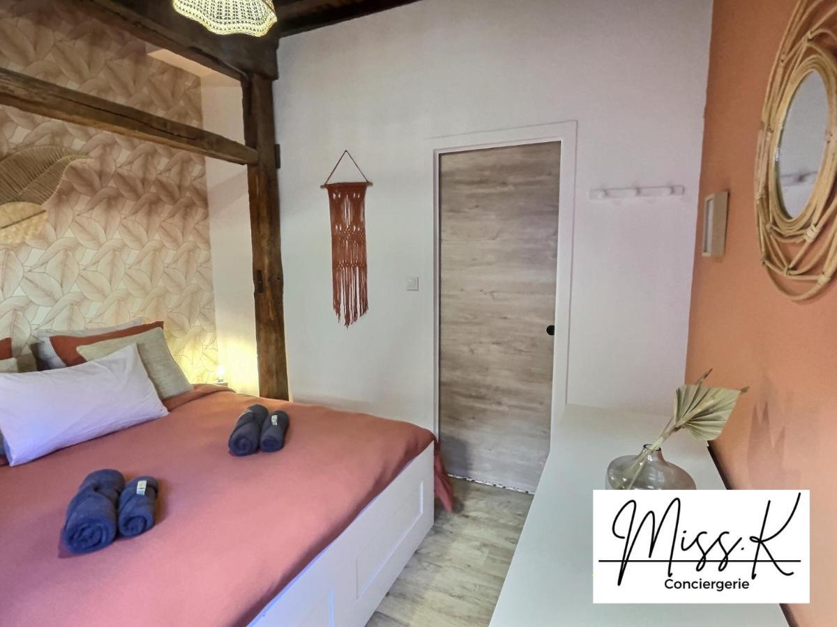 Apartament "La Fenetre Sur Le Marche" De Miss.K Conciergerie Châtillon-sur-Chalaronne Zewnętrze zdjęcie