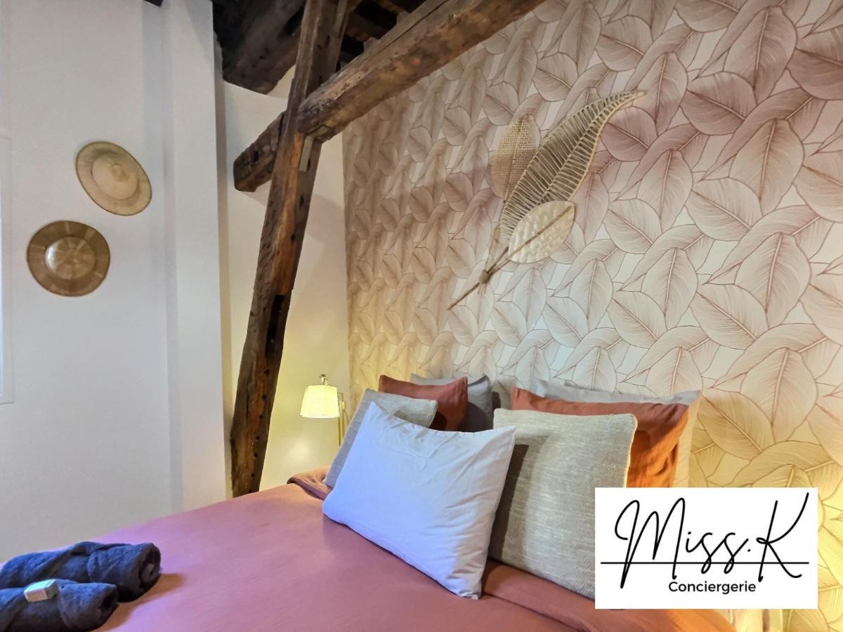 Apartament "La Fenetre Sur Le Marche" De Miss.K Conciergerie Châtillon-sur-Chalaronne Zewnętrze zdjęcie